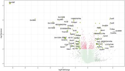 Altered Gene Expression in Prefrontal Cortex of a Fabry Disease Mouse Model